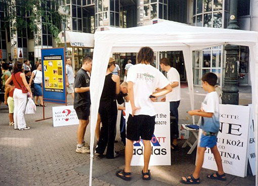 klokani_stand3 klokani_stand3