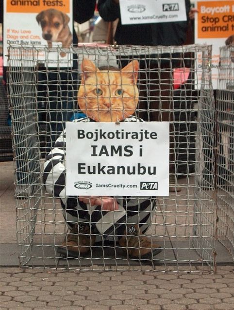 iams_zagreb2 iams_zagreb2