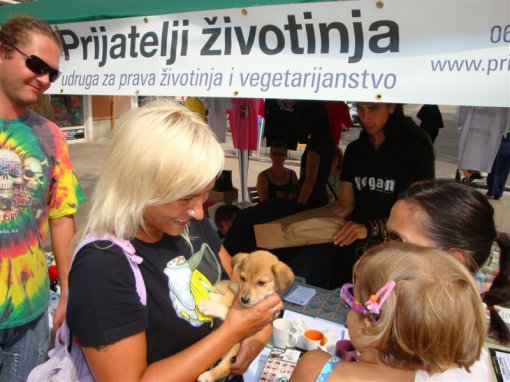Action castration Rijeka 1 [ 108.34 Kb ]