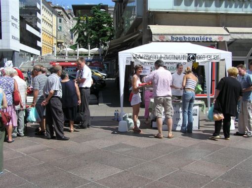 roštilj_ri2 roštilj_ri2