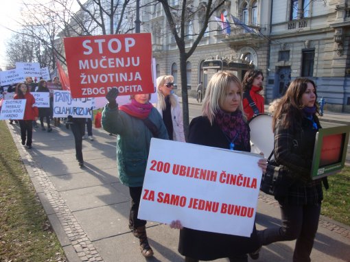 Prosvjed protiv krzna 2011 [ 1.29 Mb ]