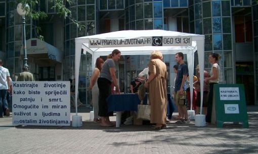 spay_neuter1