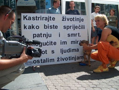 spay_neuter2