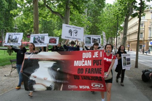 Demo against animal transport, Zagreb 2012 [ 115.15 Kb ]