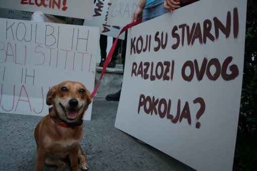 Prosvjed ispred ministarstva poljoprivrede [ 269.14 Kb ]