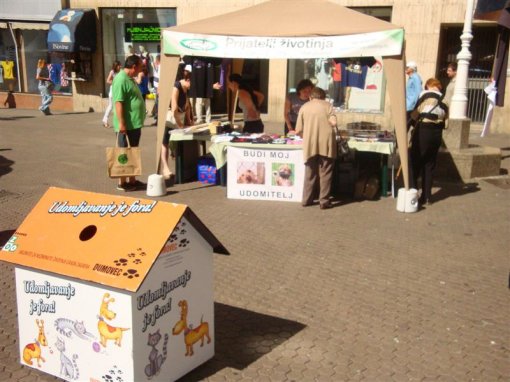 Action for helping wounded companion animals [ 103.74 Kb ]