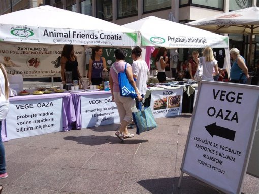 Veggie Oasis in Rijeka [ 121.64 Kb ]