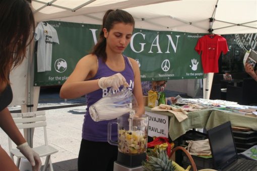 Veggie Oasis in Rijeka [ 81.59 Kb ]