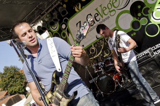 ZeGeVege 2012 [ 379.48 Kb ]