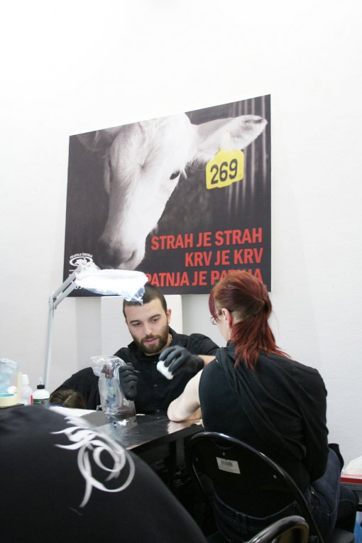 Zagreb event 269 [ 132.37 Kb ]