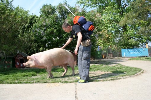 Hoda za �ivotinje i veganstvo [ 200.36 Kb ]