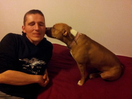 Lu is kissing Vedran [ 38.30 Kb ]