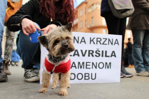 Znate li �to odijevate? [ 114.04 Kb ]