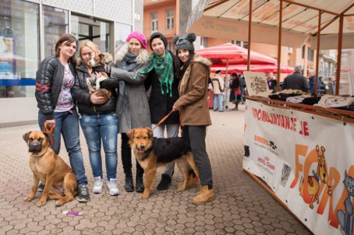 Udomljavanje je fora - Zagreb