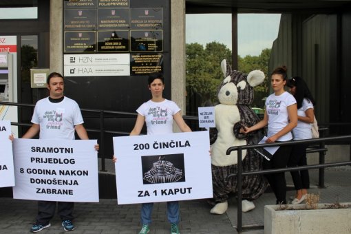 Cinci write to minister Jakovina [ 192.41 Kb ]